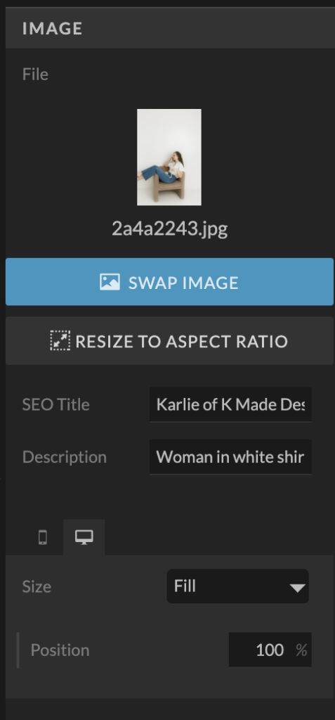 Screenshot of Showit's image settings, showcasing alt text description for SEO Tips for Photographers